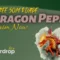 DragonPepe Airdrop