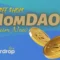 HomDAO Airdrop
